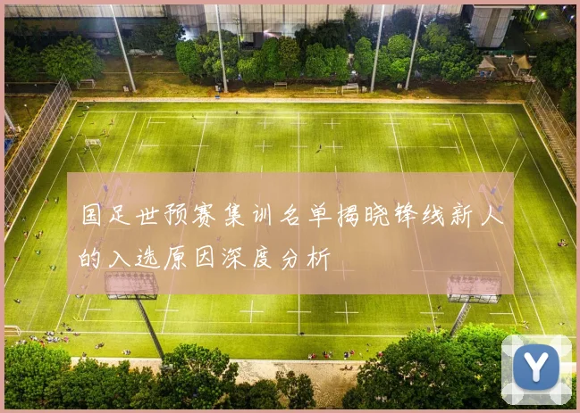 国足世预赛集训名单揭晓锋线新人的入选原因深度分析