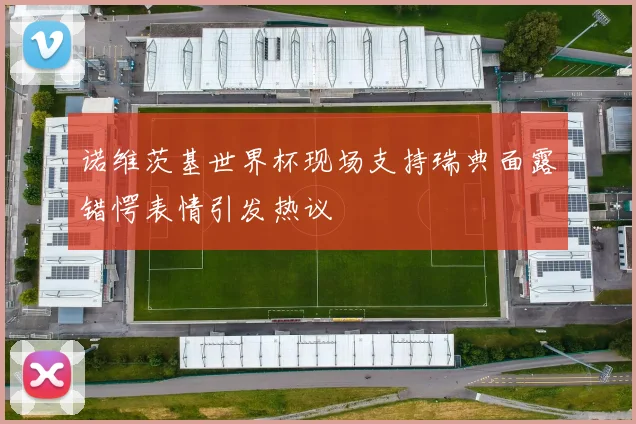 诺维茨基世界杯现场支持瑞典面露错愕表情引发热议